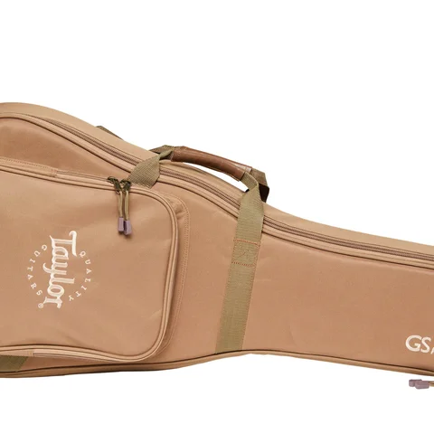 ミニギター: GS Mini シリーズ | Taylor Guitars